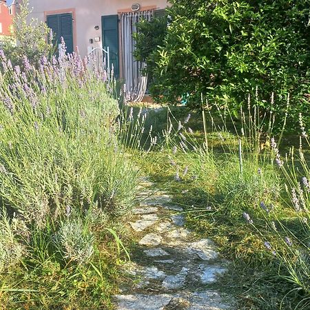 La Casa Di Ulivi Vila Piano di Follo Exterior foto