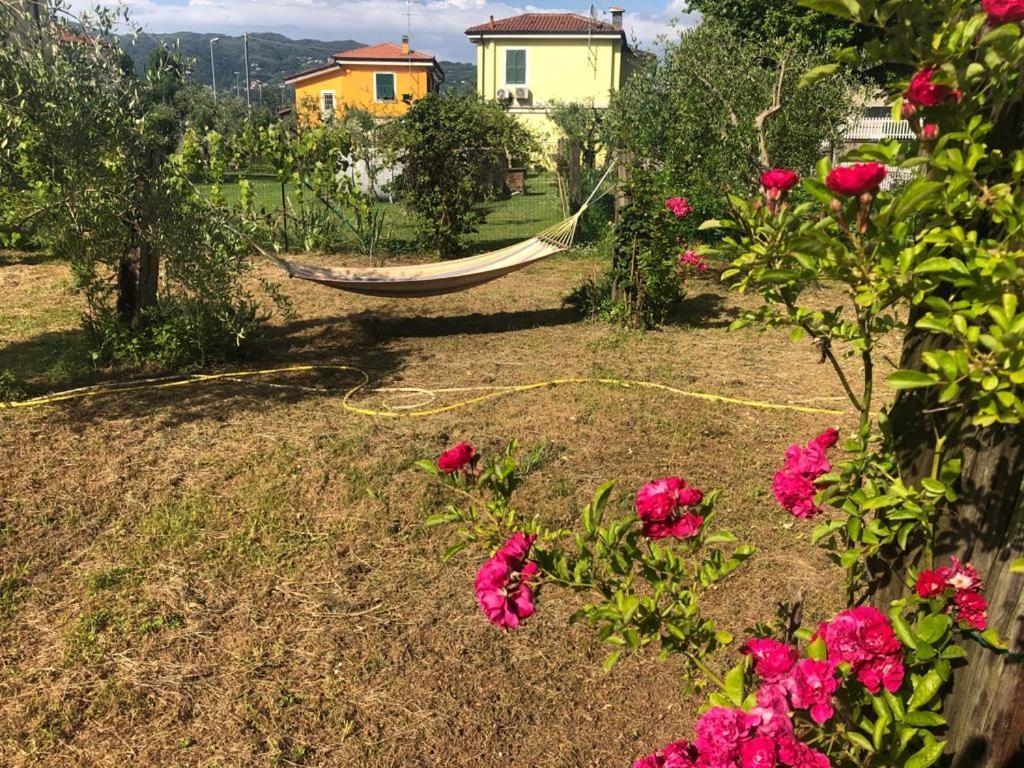 La Casa Di Ulivi Vila Piano di Follo Exterior foto