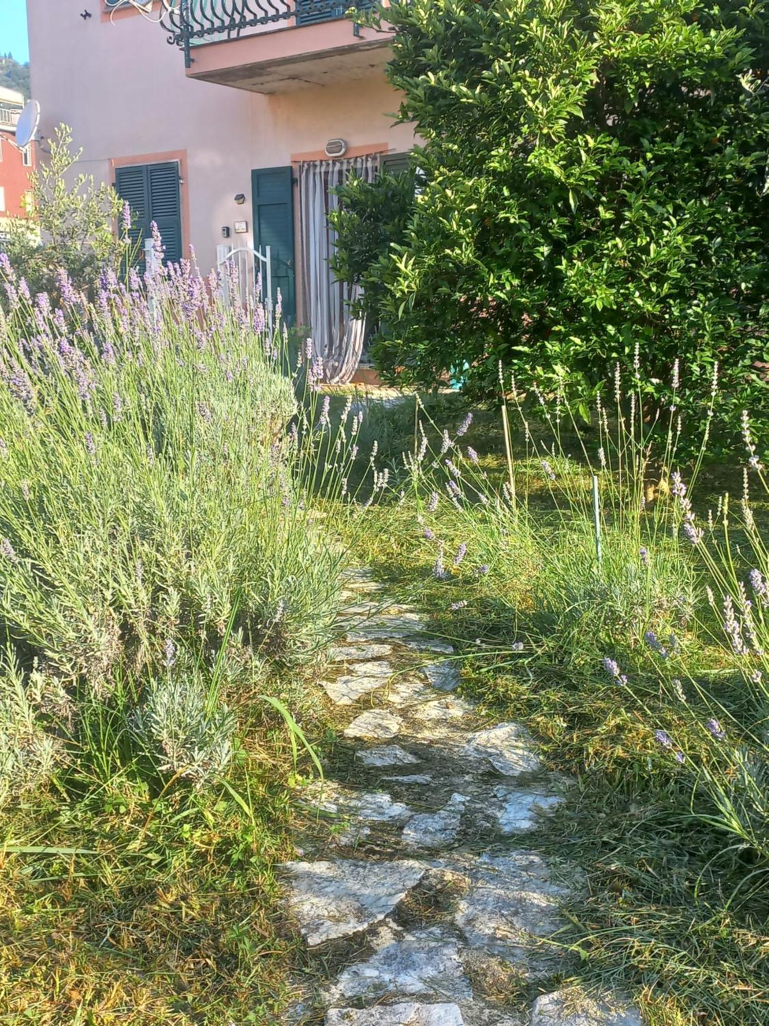 La Casa Di Ulivi Vila Piano di Follo Exterior foto